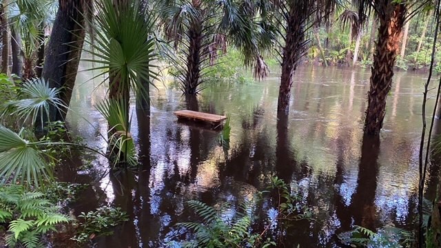 Trail completely flooded — bench barely visible above the water