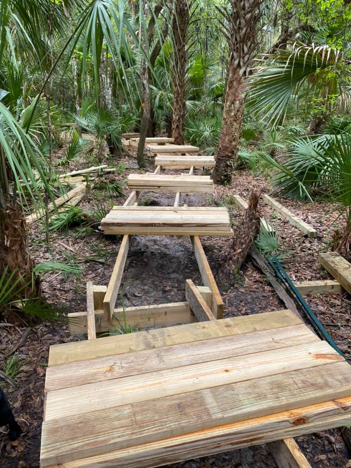 Boardwalk decking being laid section by section through the dense palm understory