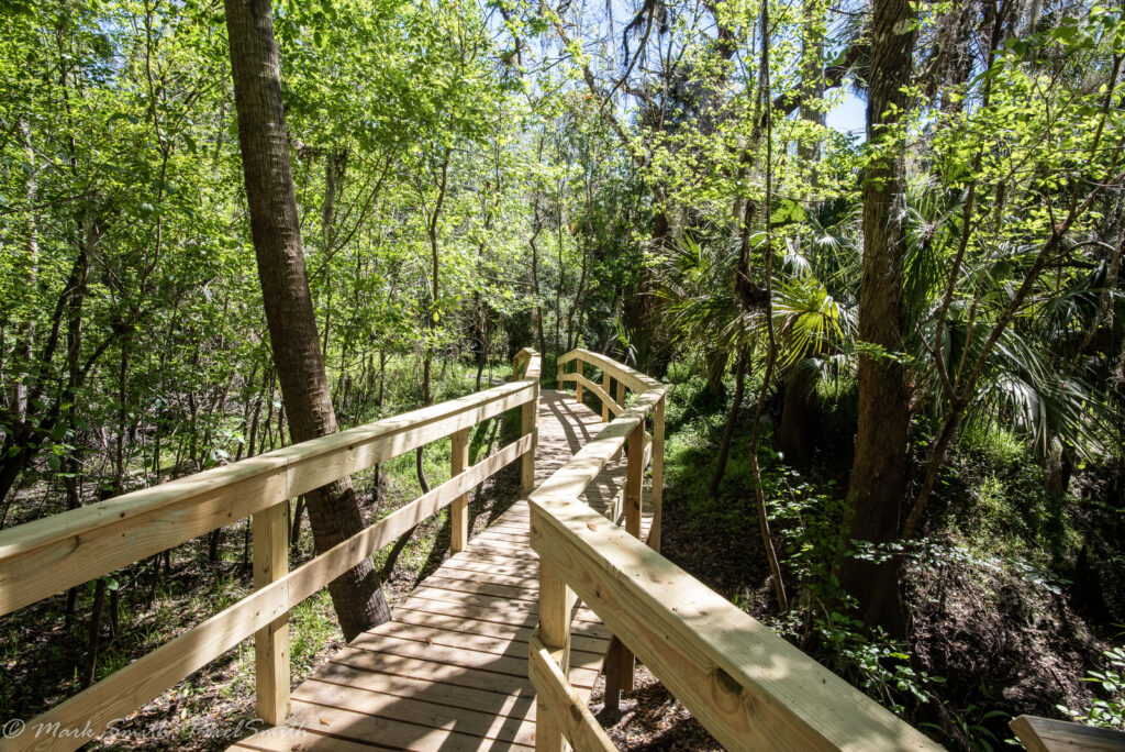Radio Crossing Bridge