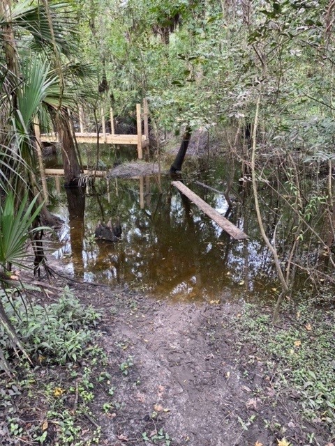 The original single-log crossing at Radio Crossing before the bridge was built
