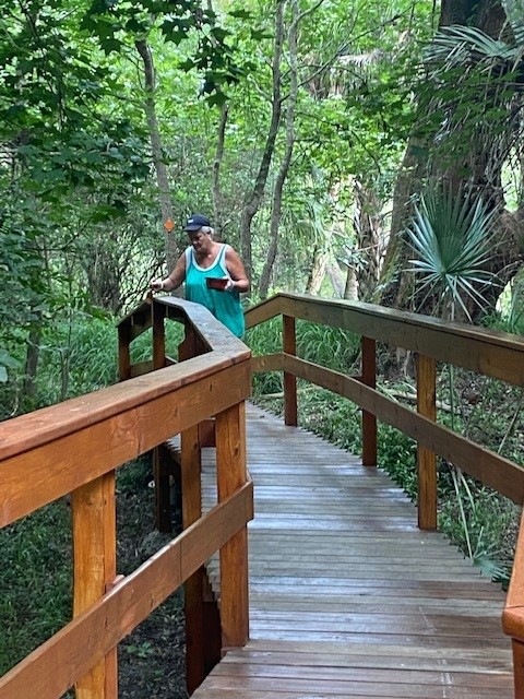 A long line of teenagers carrying the heavy pole on their shoulders through the trail